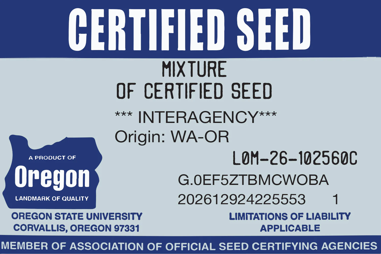 DIY Premium Double Dark Green (KB/PR) - Image 10