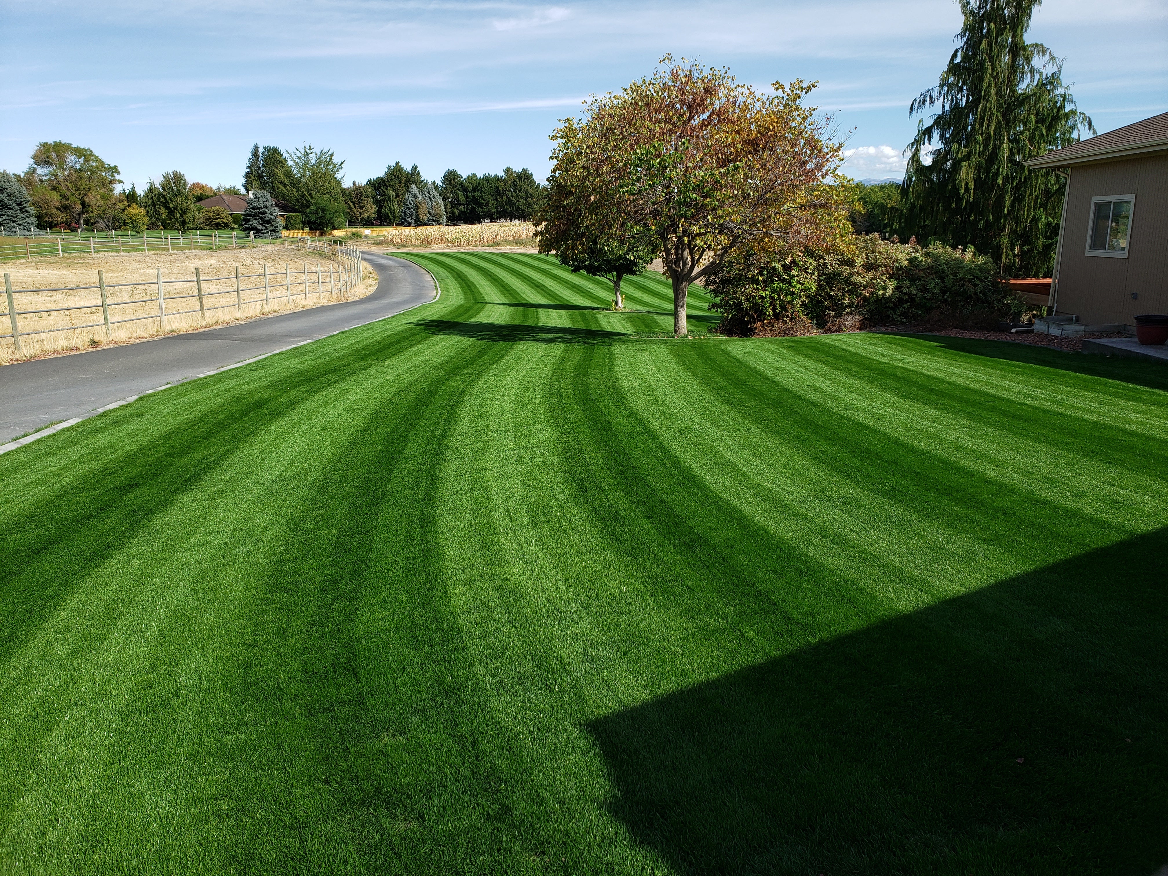 DIY Premium Double Dark Green (KB/PR) - Image 3