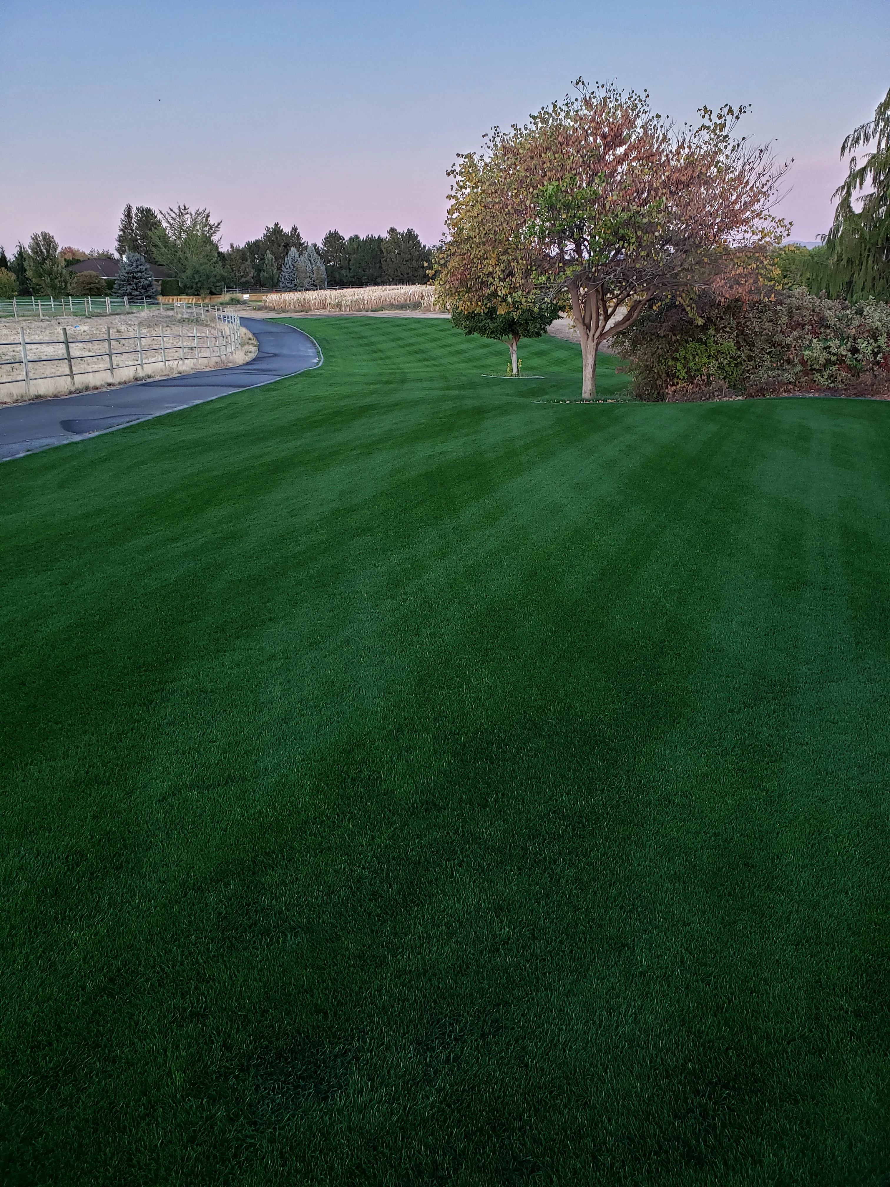 DIY Premium Double Dark Green (KB/PR) - Image 4