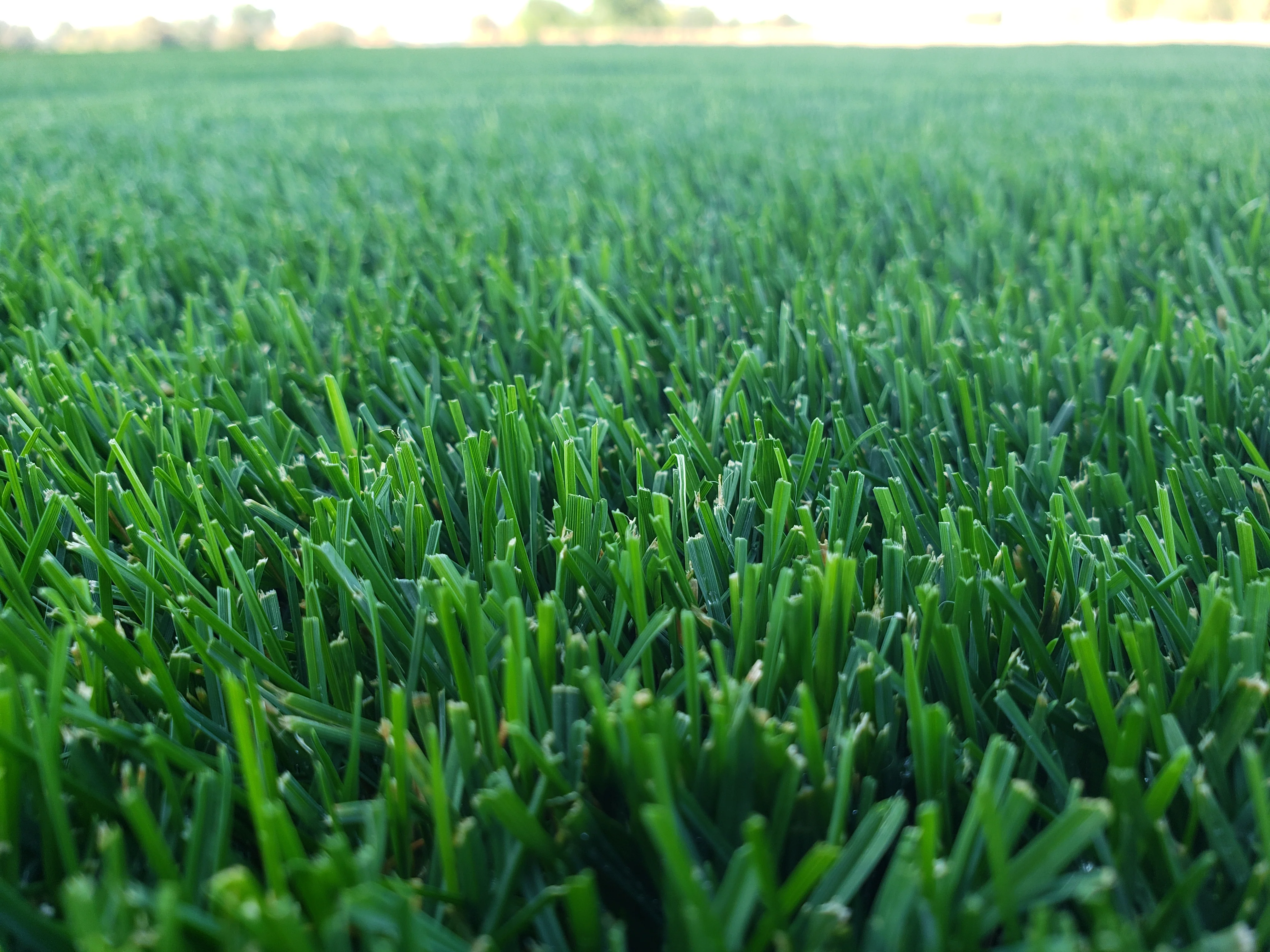 DIY Premium Double Dark Green (KB/PR) - Image 5