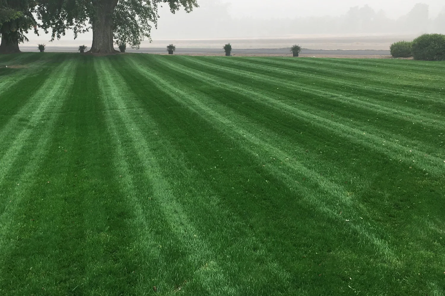 DIY Premium Double Dark Green (KB/PR) - Image 8