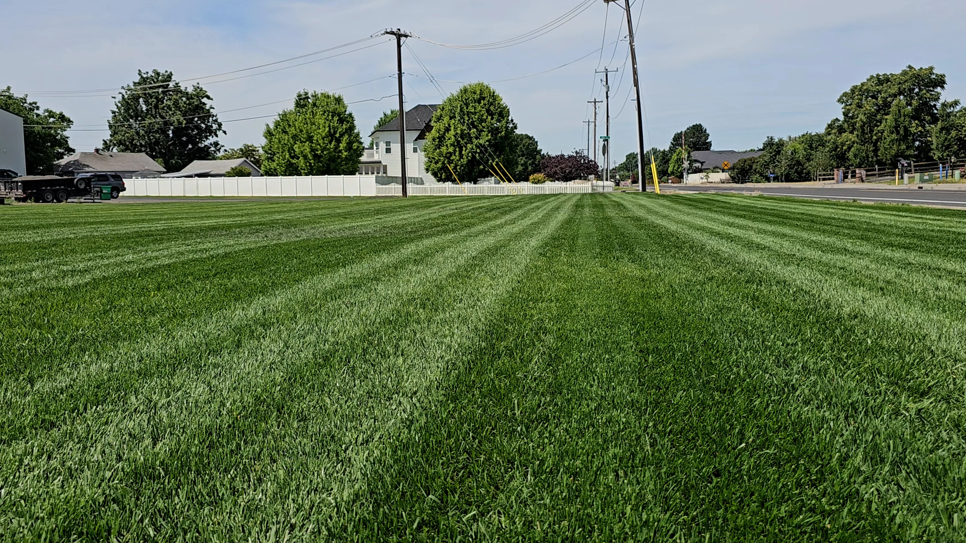 DIY Premium Double Dark Green (TTTF) - Image 4