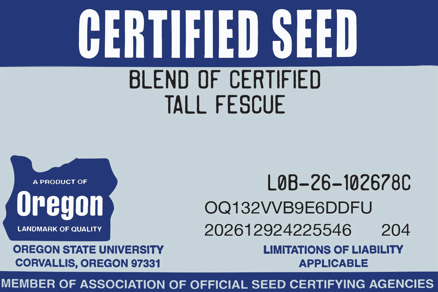 DIY Premium Double Dark Green (TTTF) - Image 6